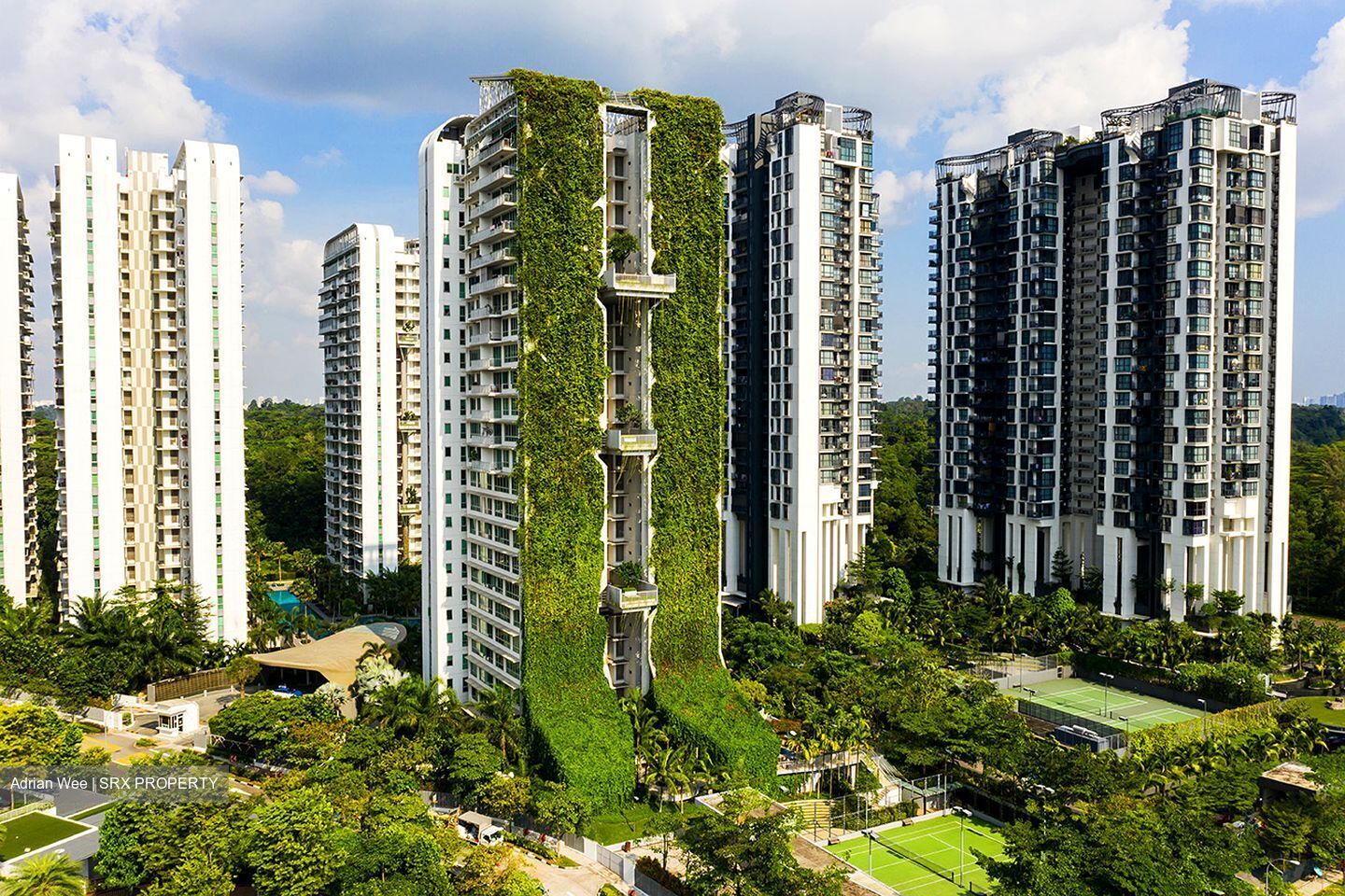 Tree House (D23), Condominium For Sale 98057661